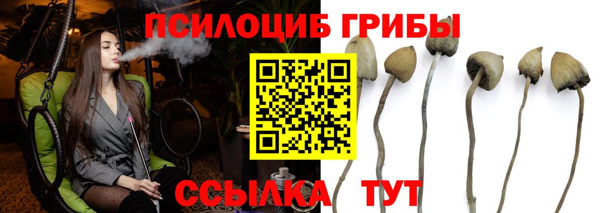 Псилоцибиновые грибы ЛСД  Псилоцибиновые грибы Cubensis  Вход с VPN  Пермь 